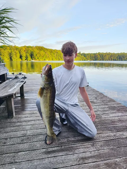 Zander
