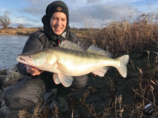 Zander