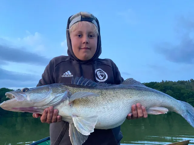 Zander