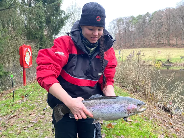 Regenbogenforelle