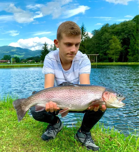 Regenbogenforelle