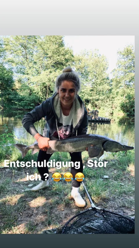 Stör