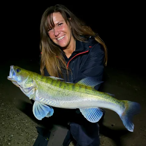 Zander
