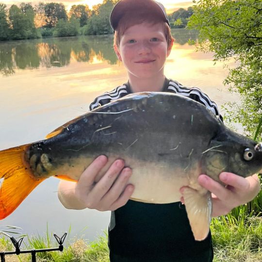 Karpfen
