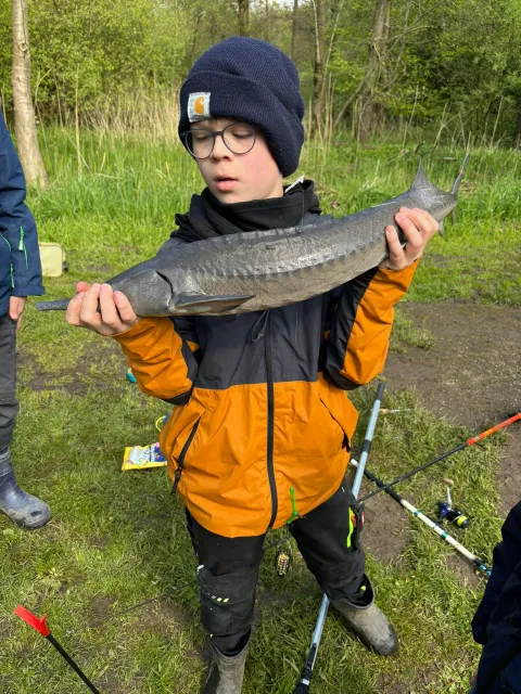 Stör