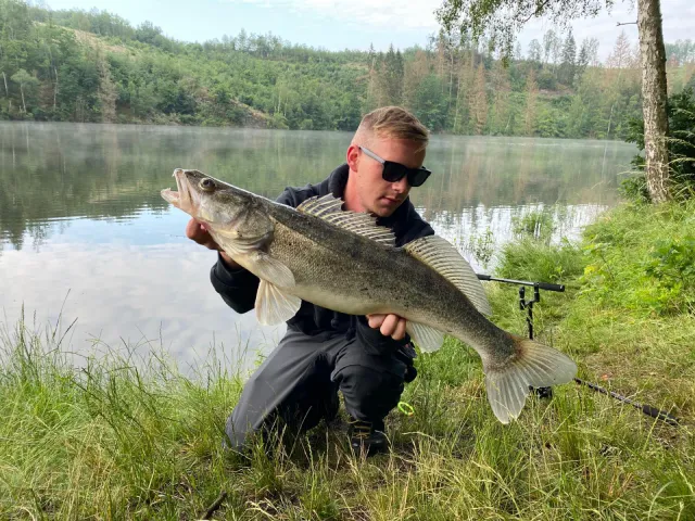 Zander