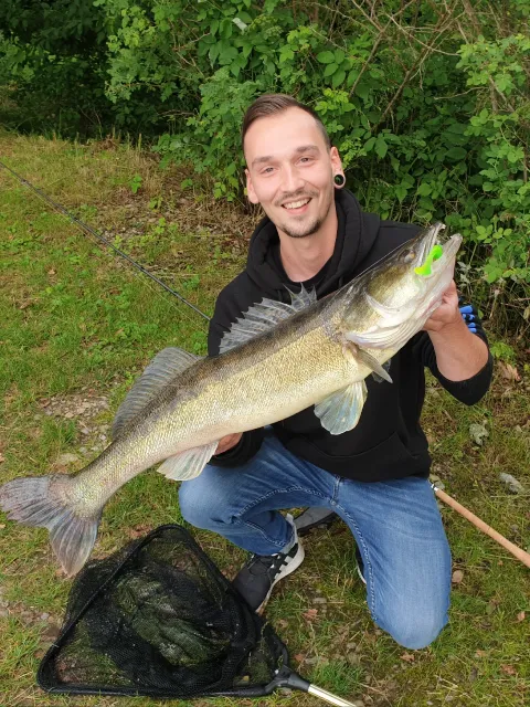Zander