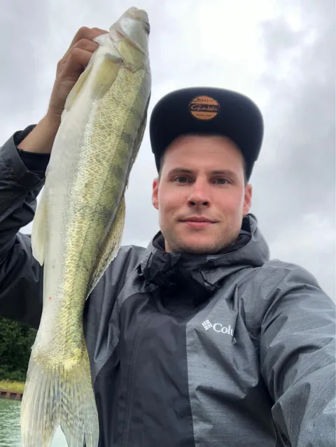 Zander