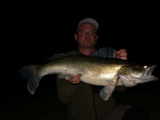 Zander