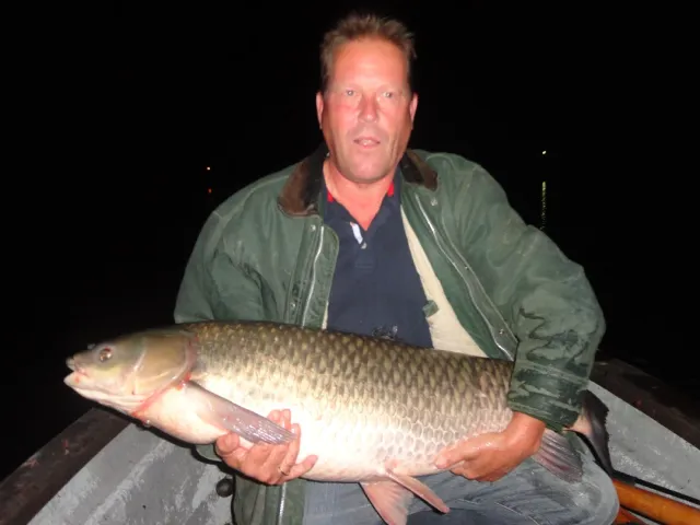 Graskarpfen