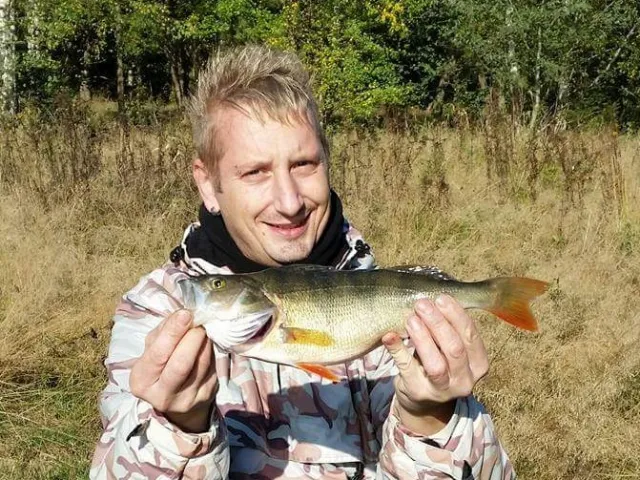 Flussbarsch