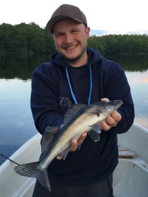 Zander