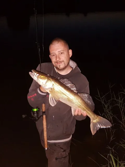 Zander
