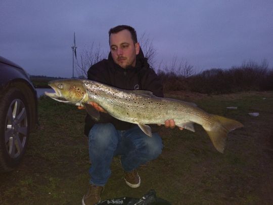 Lachs