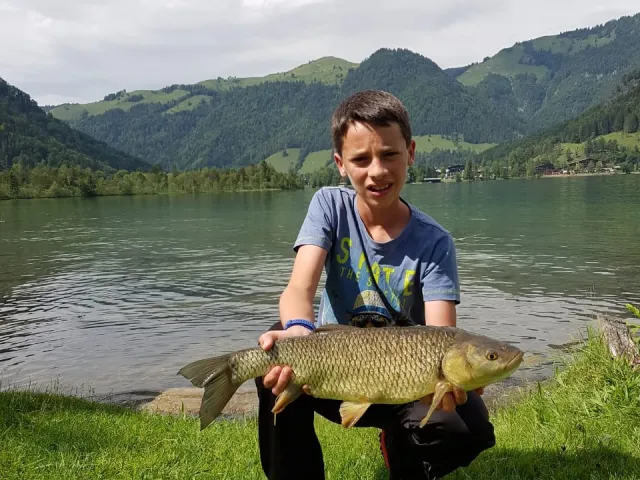 Döbel