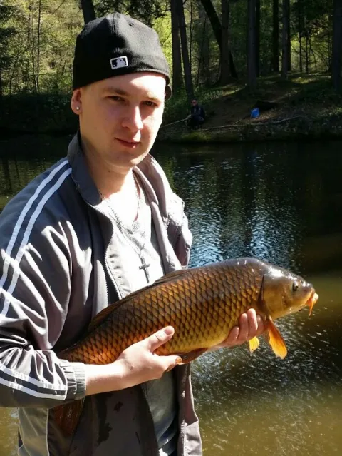 Karpfen
