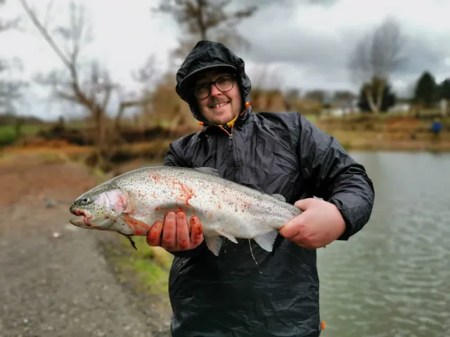 Regenbogenforelle