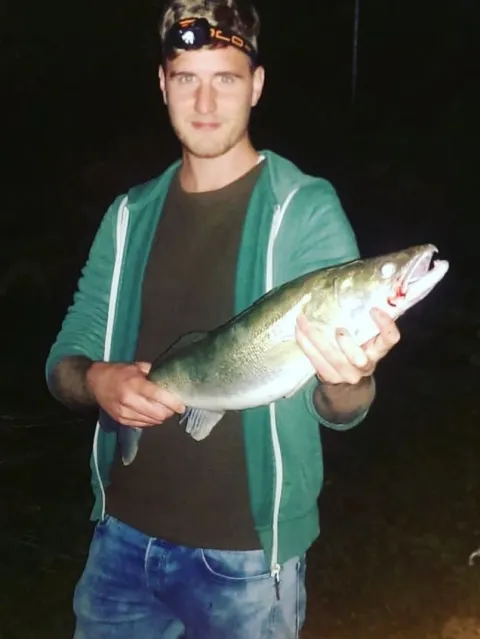 Zander