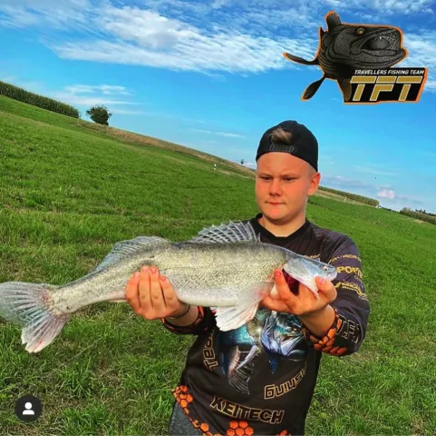 Zander