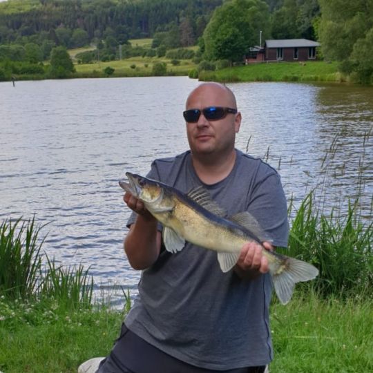 Zander
