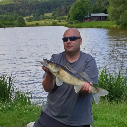 Zander