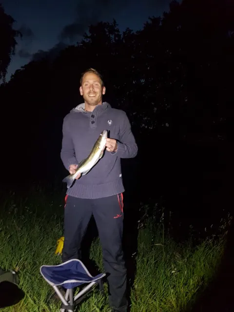 Zander
