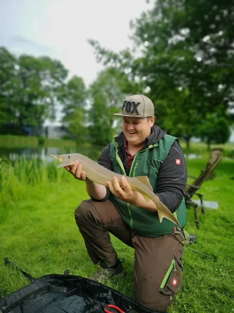 Stör