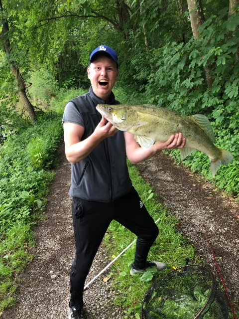 Zander