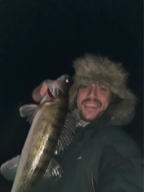 Zander