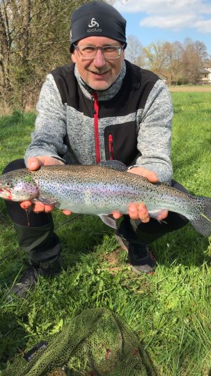 Regenbogenforelle