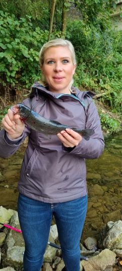 Regenbogenforelle