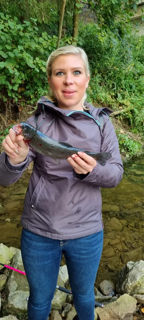 Regenbogenforelle