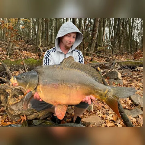 Karpfen