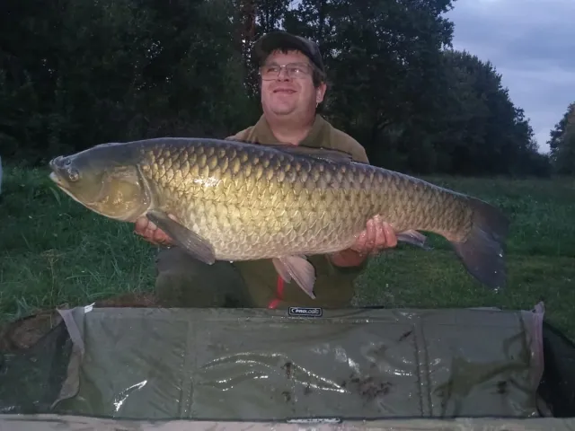 Graskarpfen