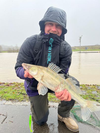 Zander