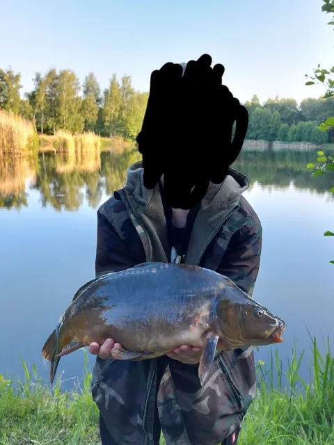 Karpfen