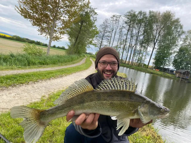 Zander