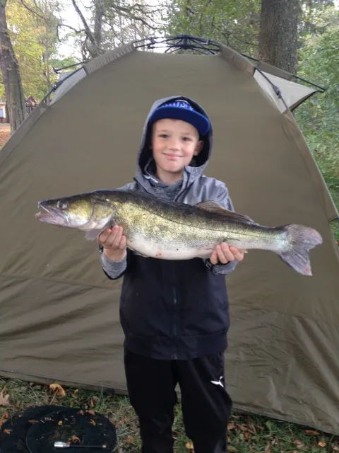 Zander