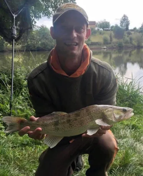 Zander