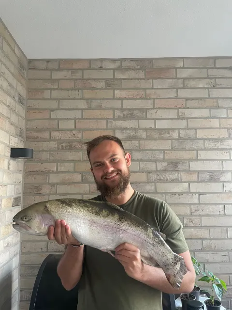 Regenbogenforelle
