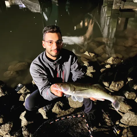 Zander