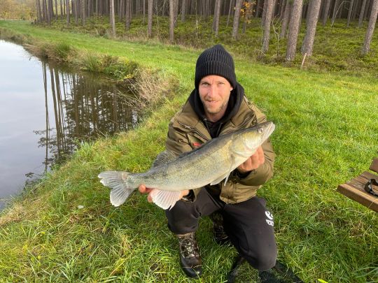 Zander