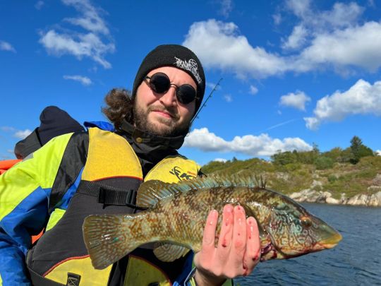 Lippfisch
