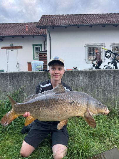Karpfen