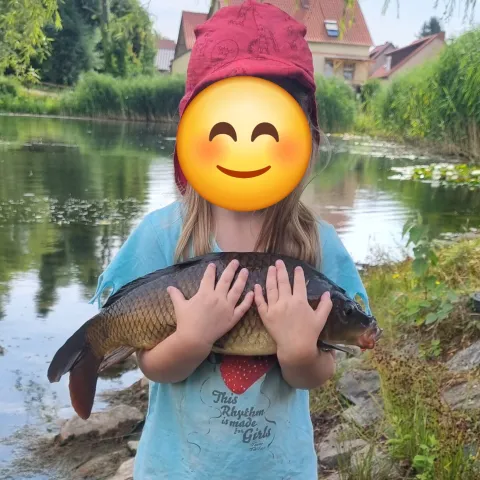 Karpfen