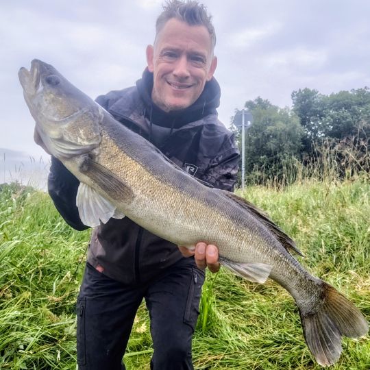 Zander