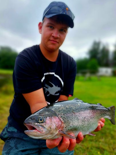 Regenbogenforelle