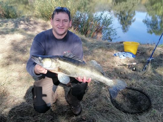 Zander