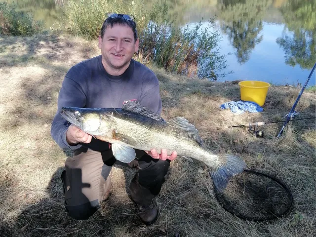 Zander