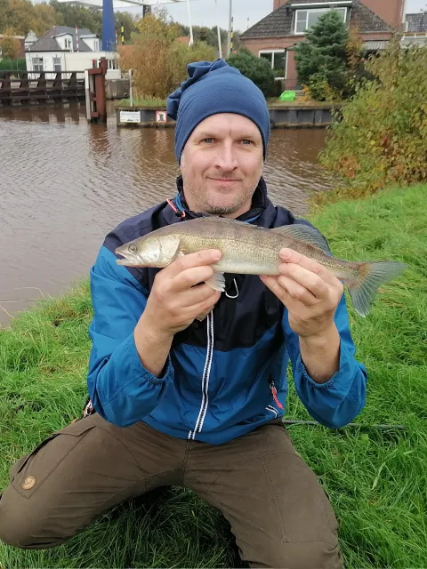 Zander
